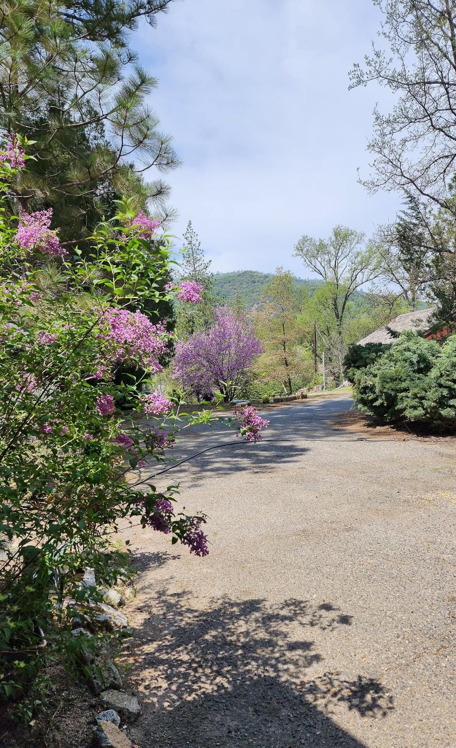 Spring, Natural landscape
