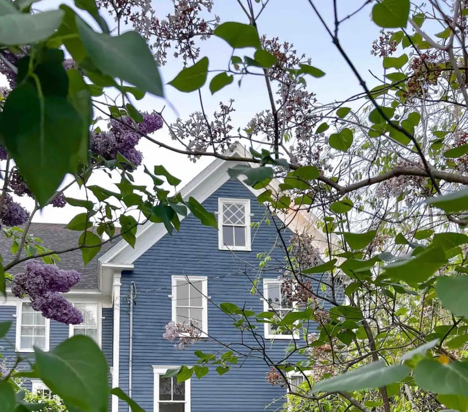 Property building, Spring