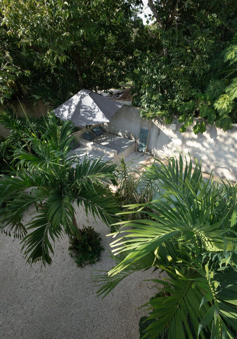 Garden, Pool view