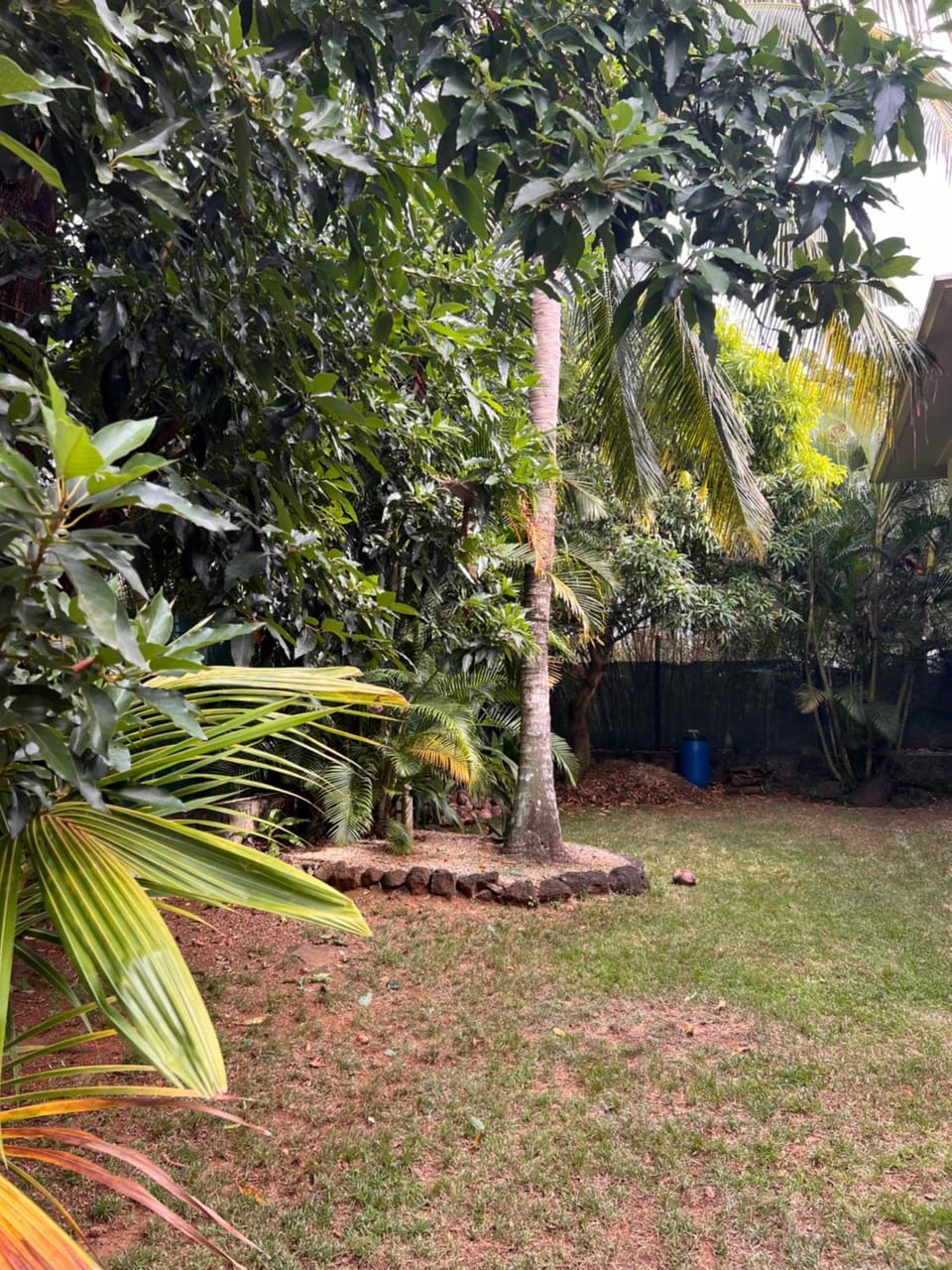 Garden, Garden, Garden view
