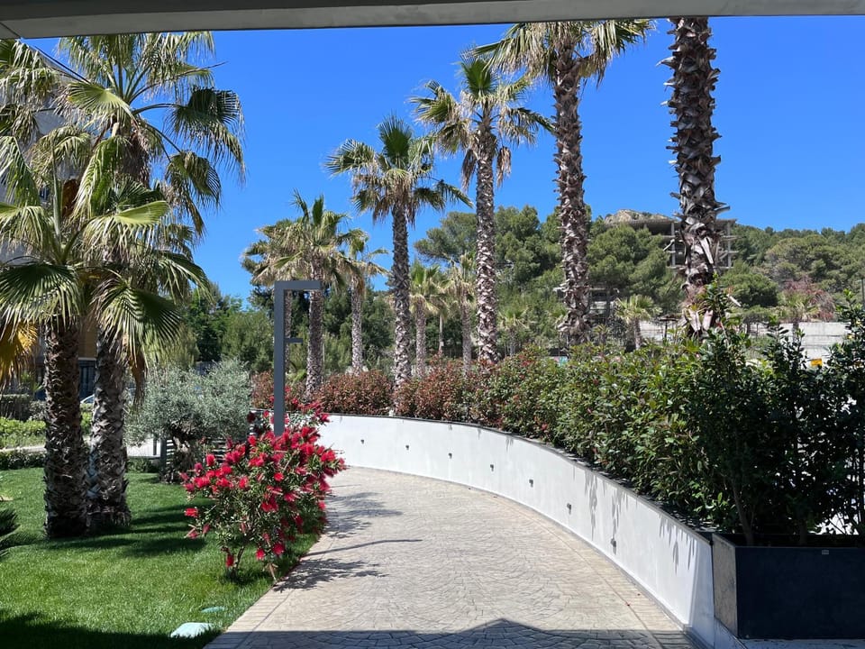 Spring, Day, Natural landscape, Garden, Garden view