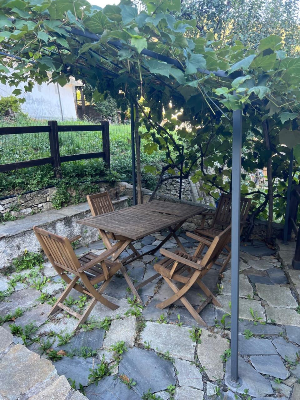 Patio, Day, Garden, Garden, Garden view