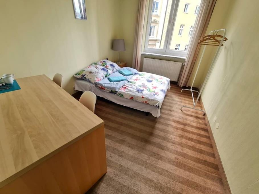 Bed, Photo of the whole room, towels