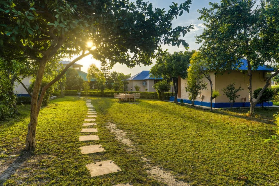 Day, Natural landscape, Garden view