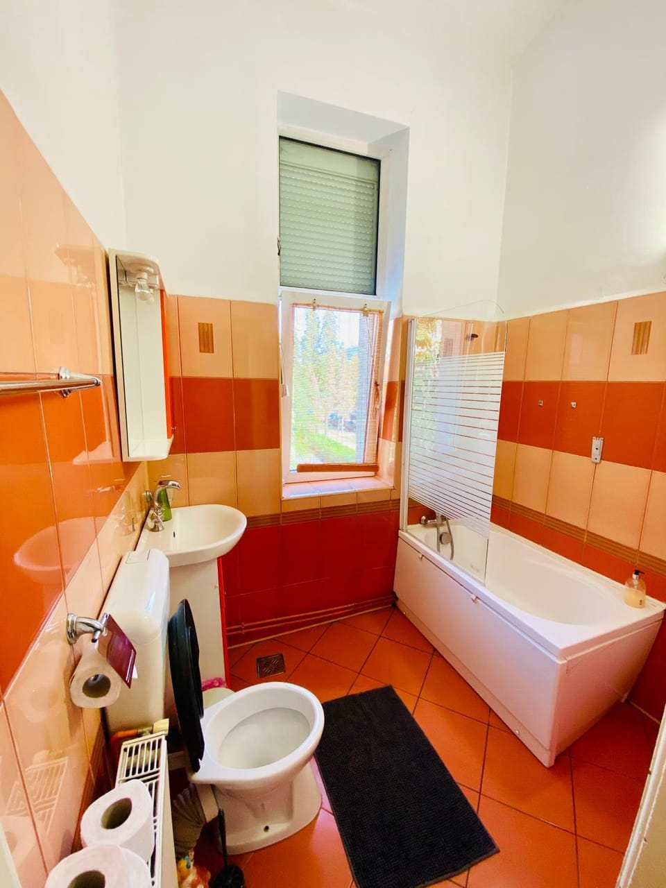 Central 2 bedrooms apartment Apartment in Brasov
