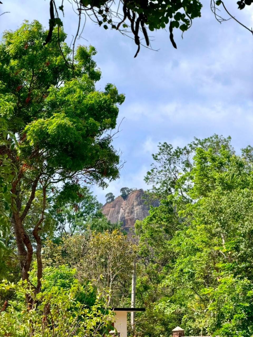 Sigiri Arana Sigiriya Bed and Breakfast in Dambulla