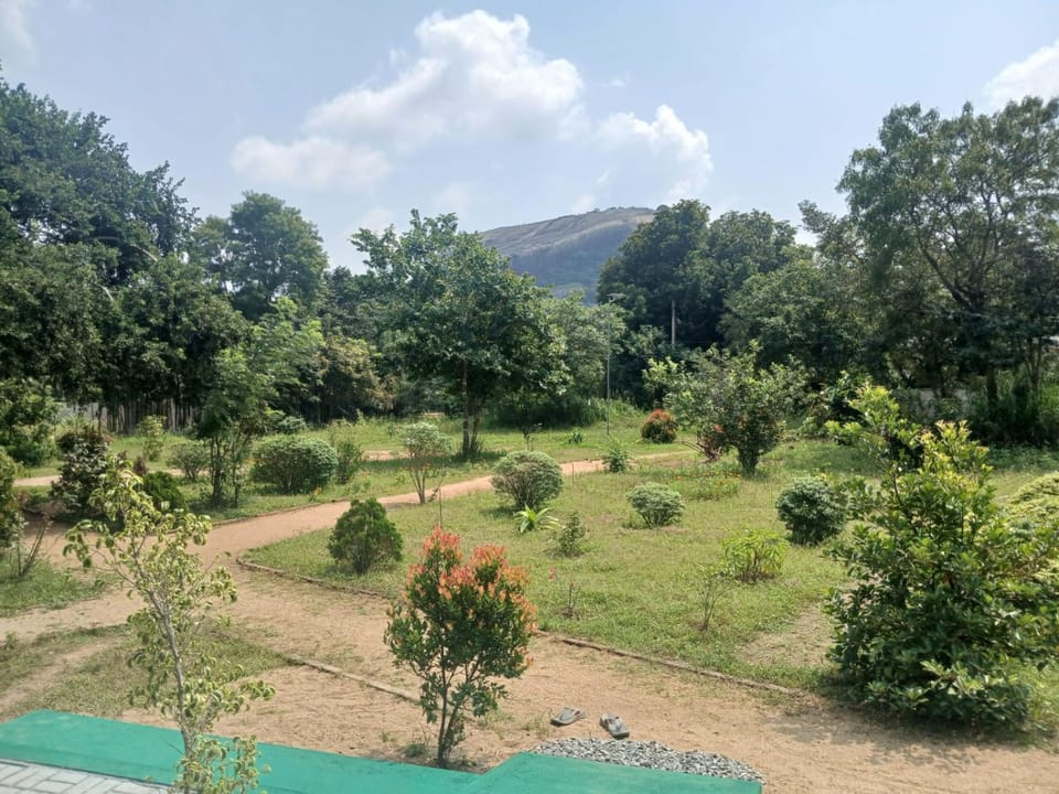 Sigiri Arana Sigiriya Bed and Breakfast in Dambulla