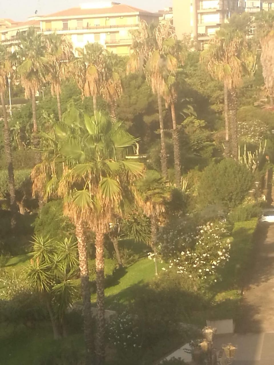 Garden, Garden view