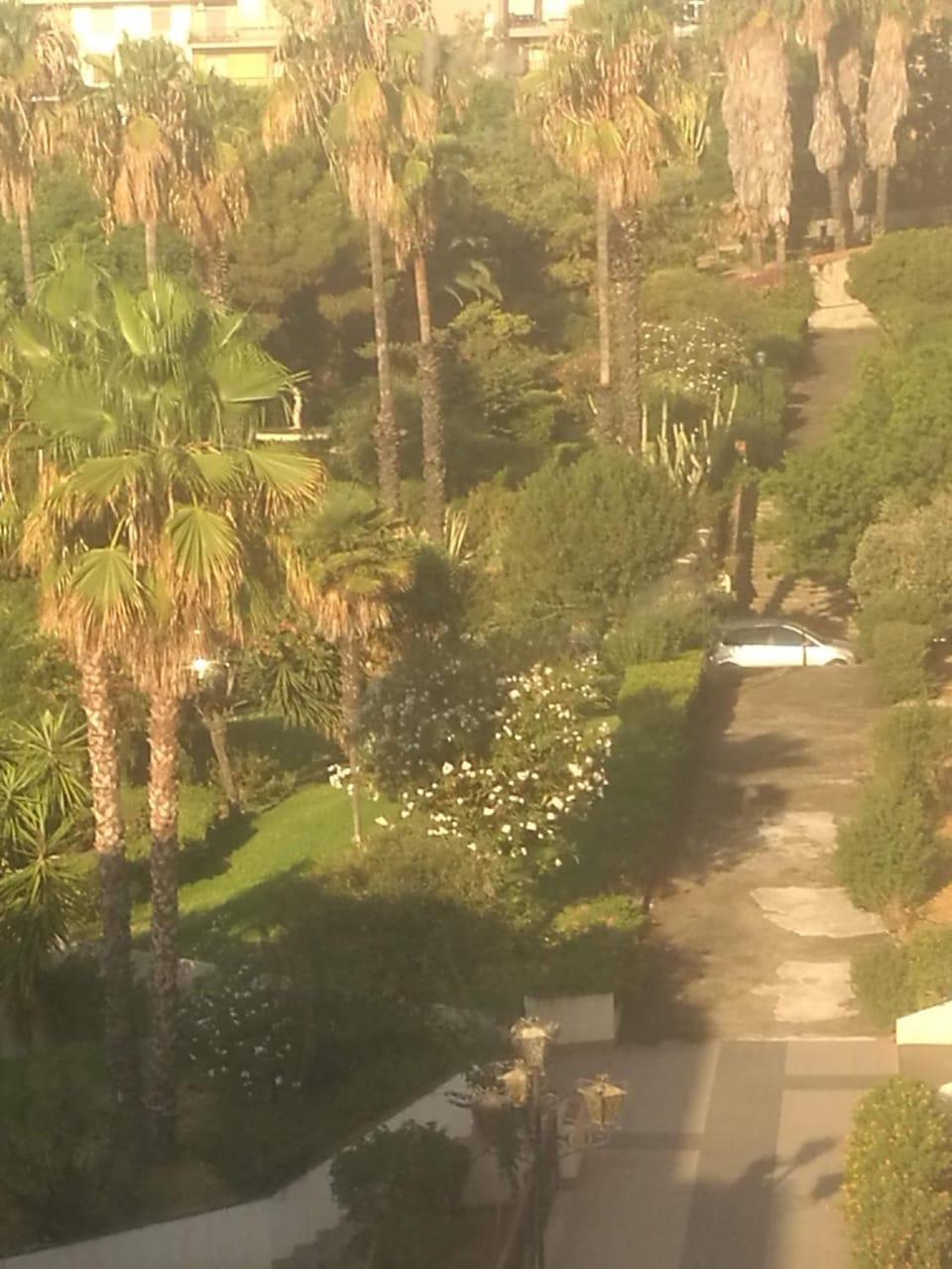 Natural landscape, Garden, Garden view