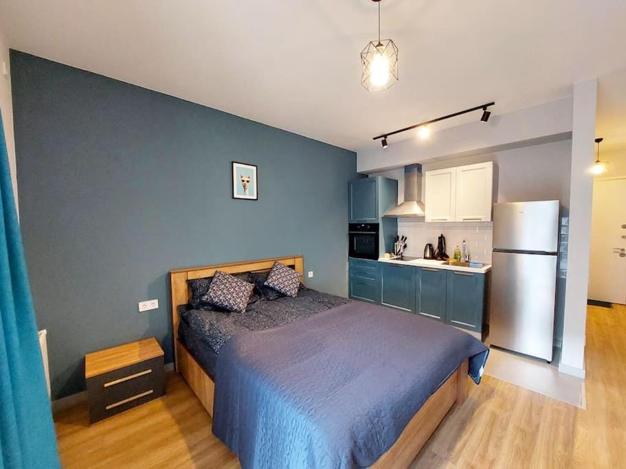 Bed, Kitchen or kitchenette, Living room, Photo of the whole room, Seating area, Bedroom, oven, stove