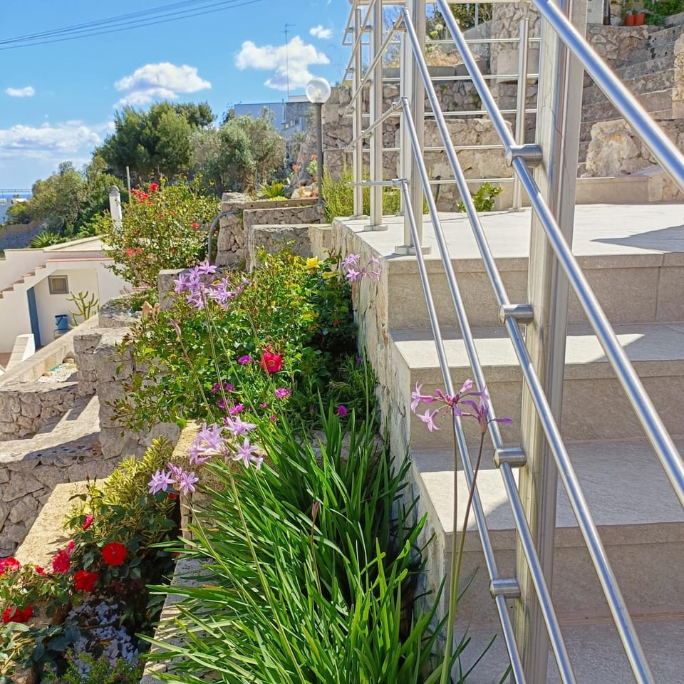 Property building, Garden view