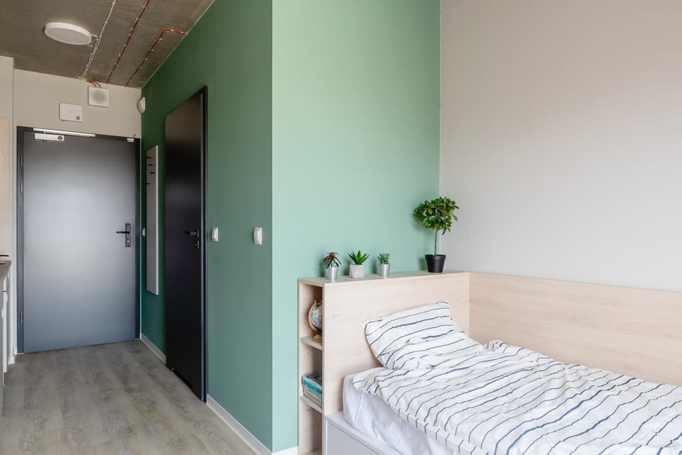 Bed, Photo of the whole room