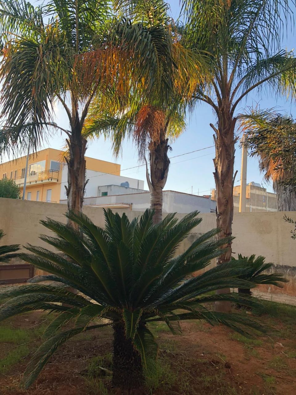 Garden, Garden view