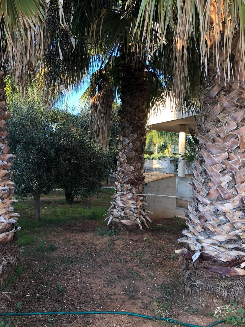 Garden, Garden view