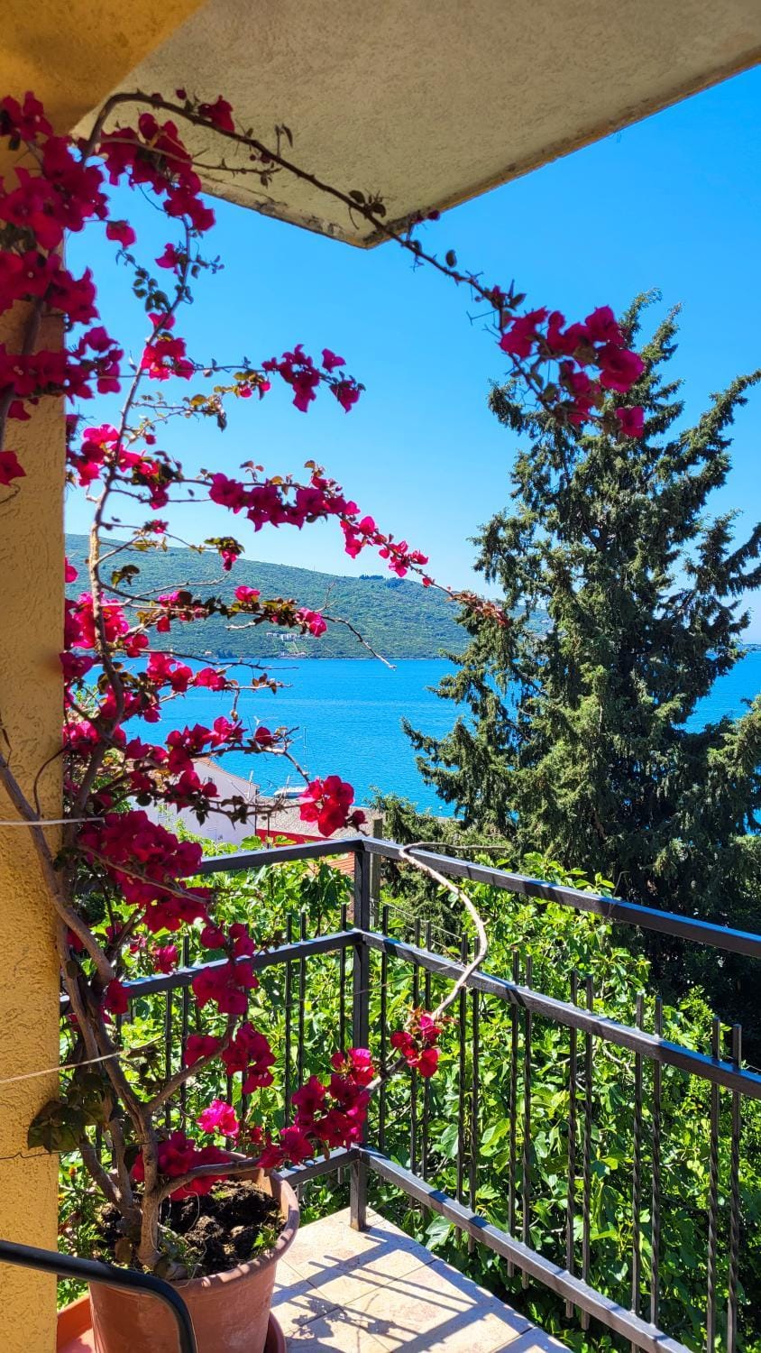 SeaView Zelenika Apartment in Kotor Municipality