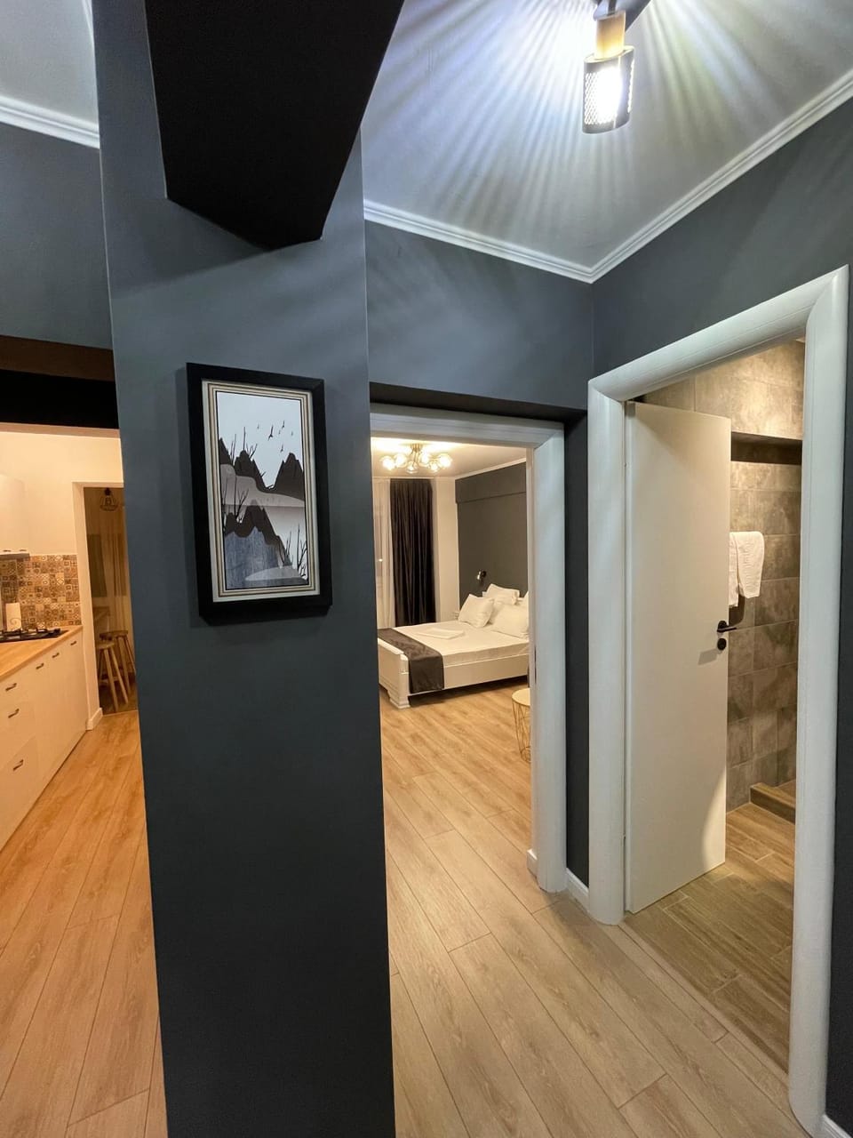 Photo of the whole room