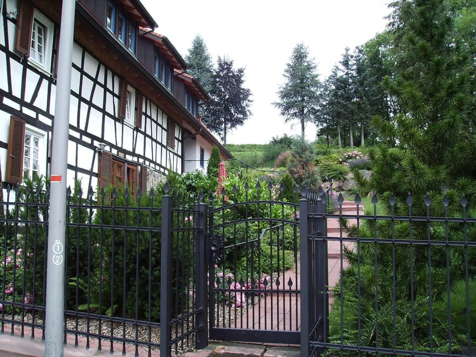 Property building, Garden view