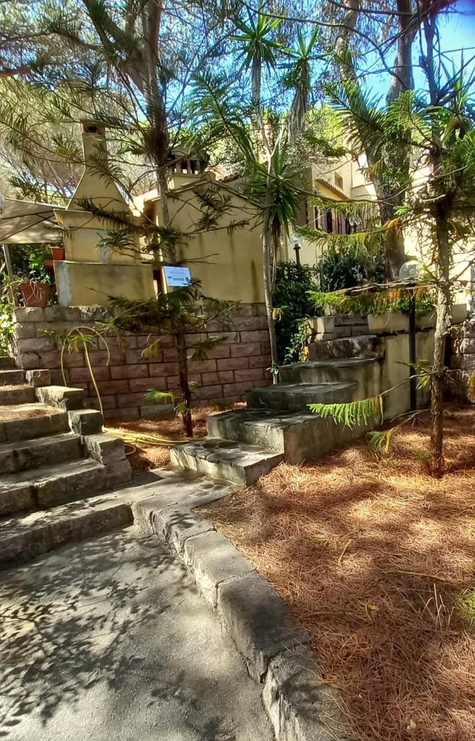 Property building, Garden, Garden view