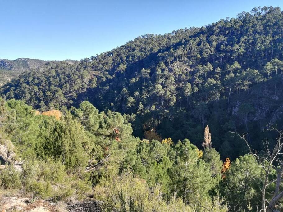 El Quejigo Chalet in Castile-La Mancha