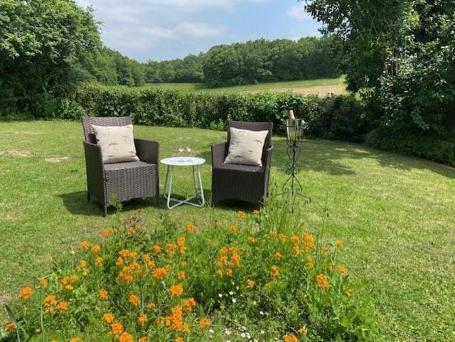 Natural landscape, Seating area, Garden view