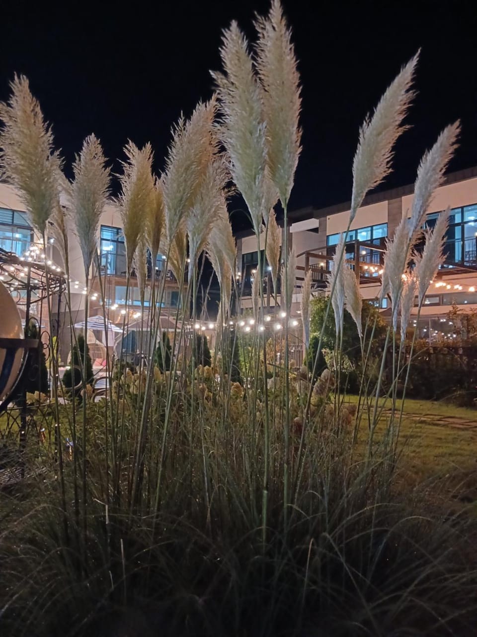 Night, Natural landscape, Garden, Garden view