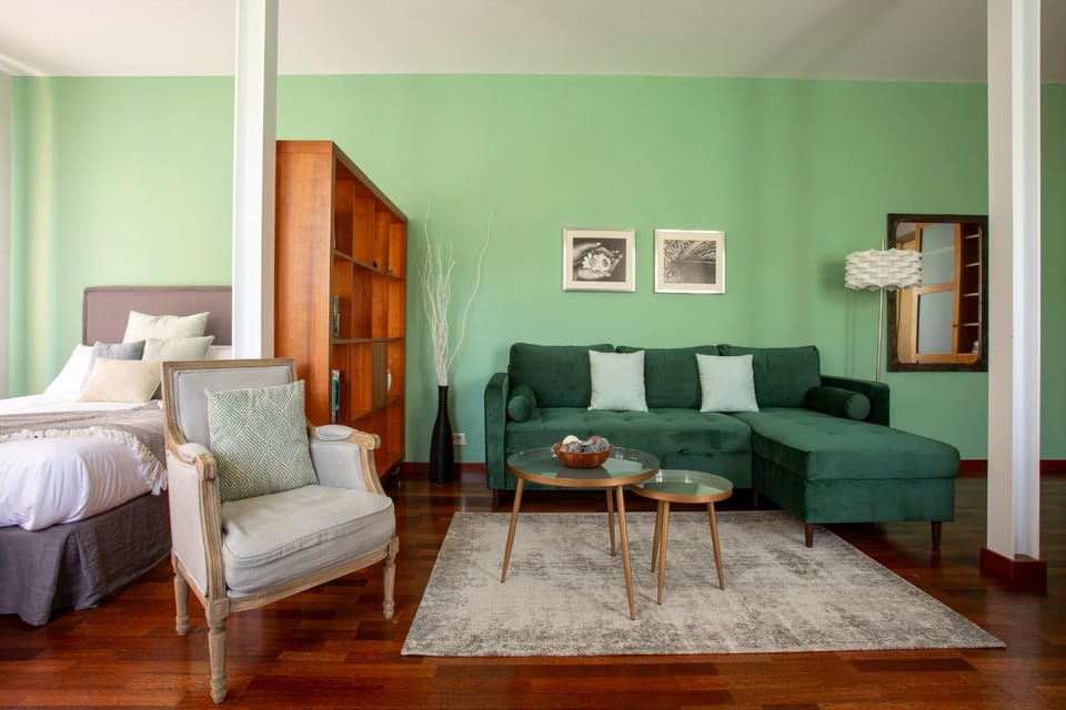 Photo of the whole room