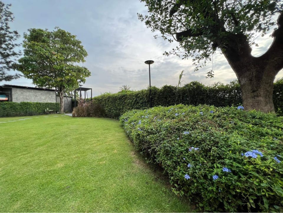 Garden, View (from property/room)