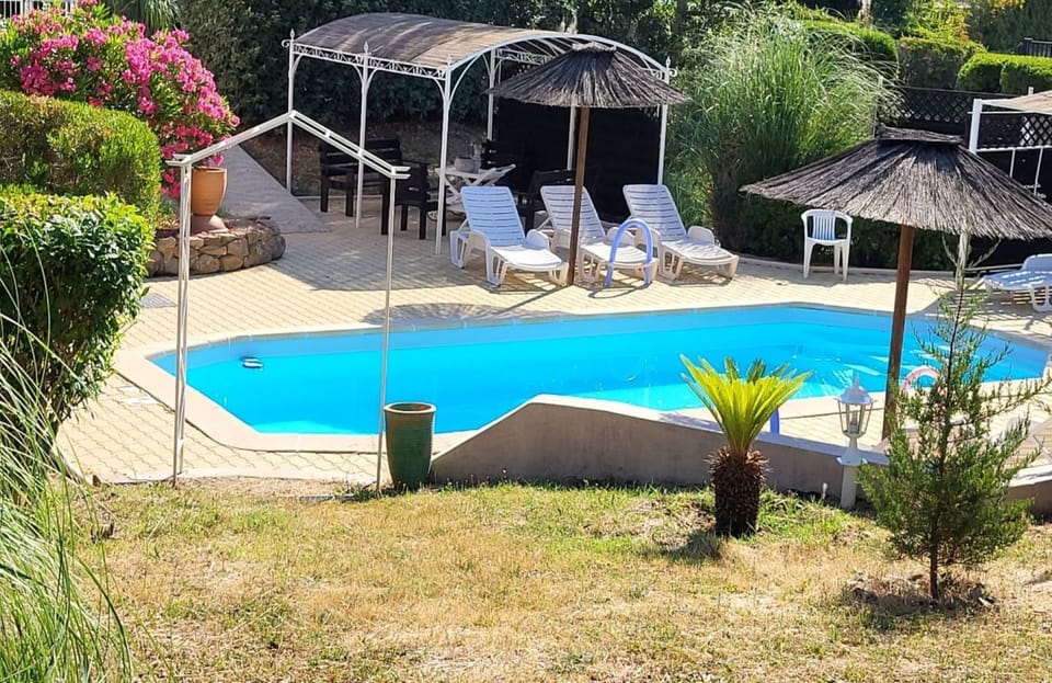 Spring, Day, Garden, Garden view, Pool view, Swimming pool, sunbed