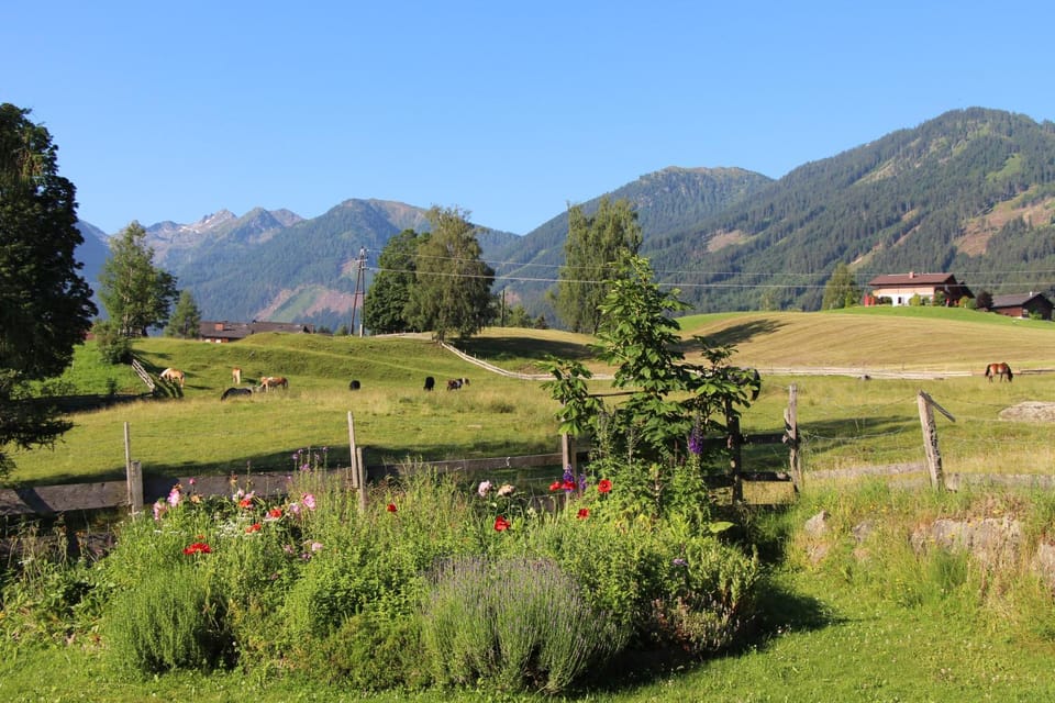 Restaurant/places to eat, Natural landscape, Fishing, Horse-riding, Hiking, Animals