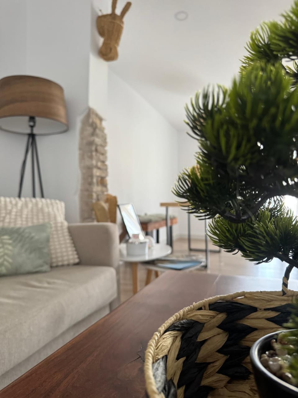 San Bartolomé 26 Apartment in Jaén