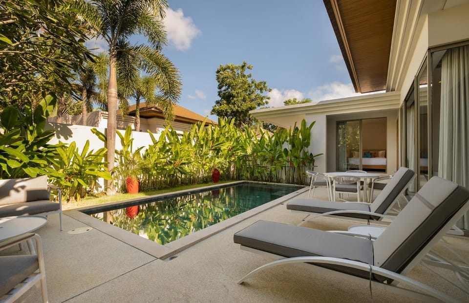 Garden, Garden view, Pool view, Swimming pool, sunbed