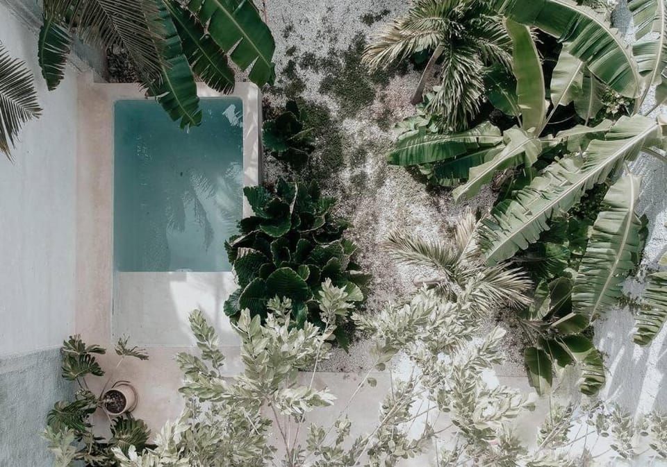 Natural landscape, Bird's eye view, Garden, Pool view, Swimming pool, Swimming pool