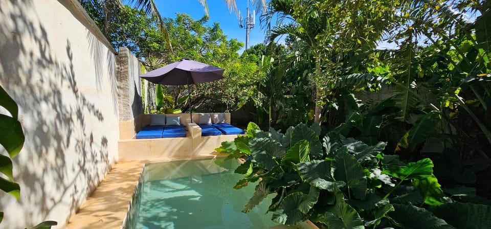 Garden, Swimming pool
