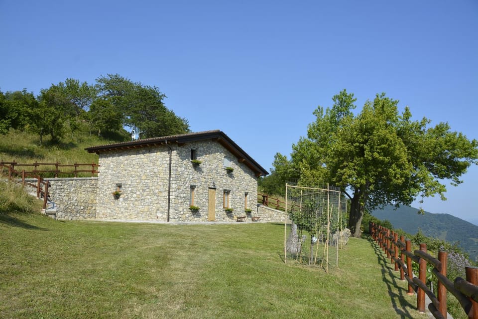 Garden, Garden