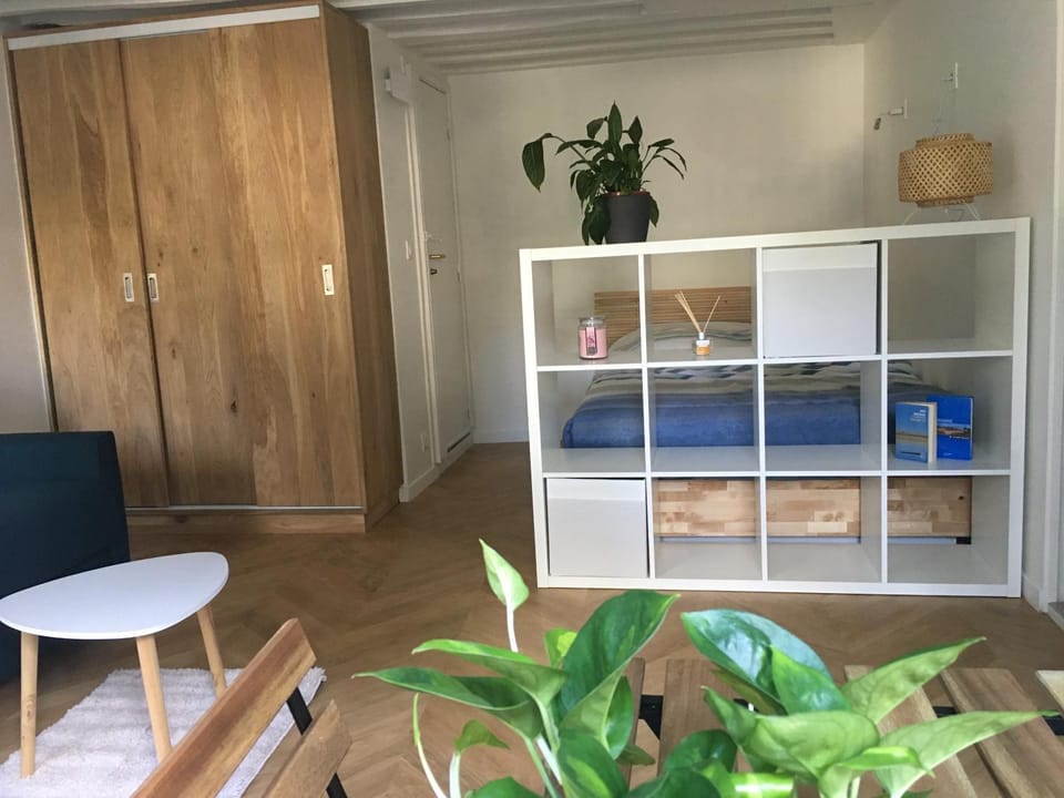 Cocon, lumineux au cœur de Paris Apartment in Paris