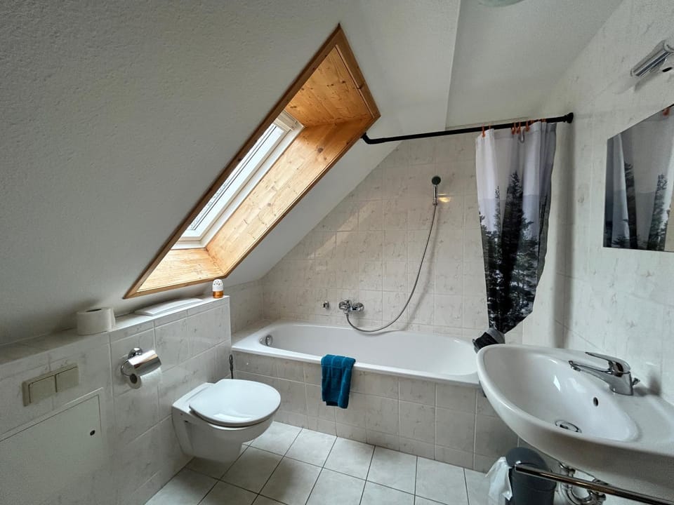 Toilet, Bathroom, Bath