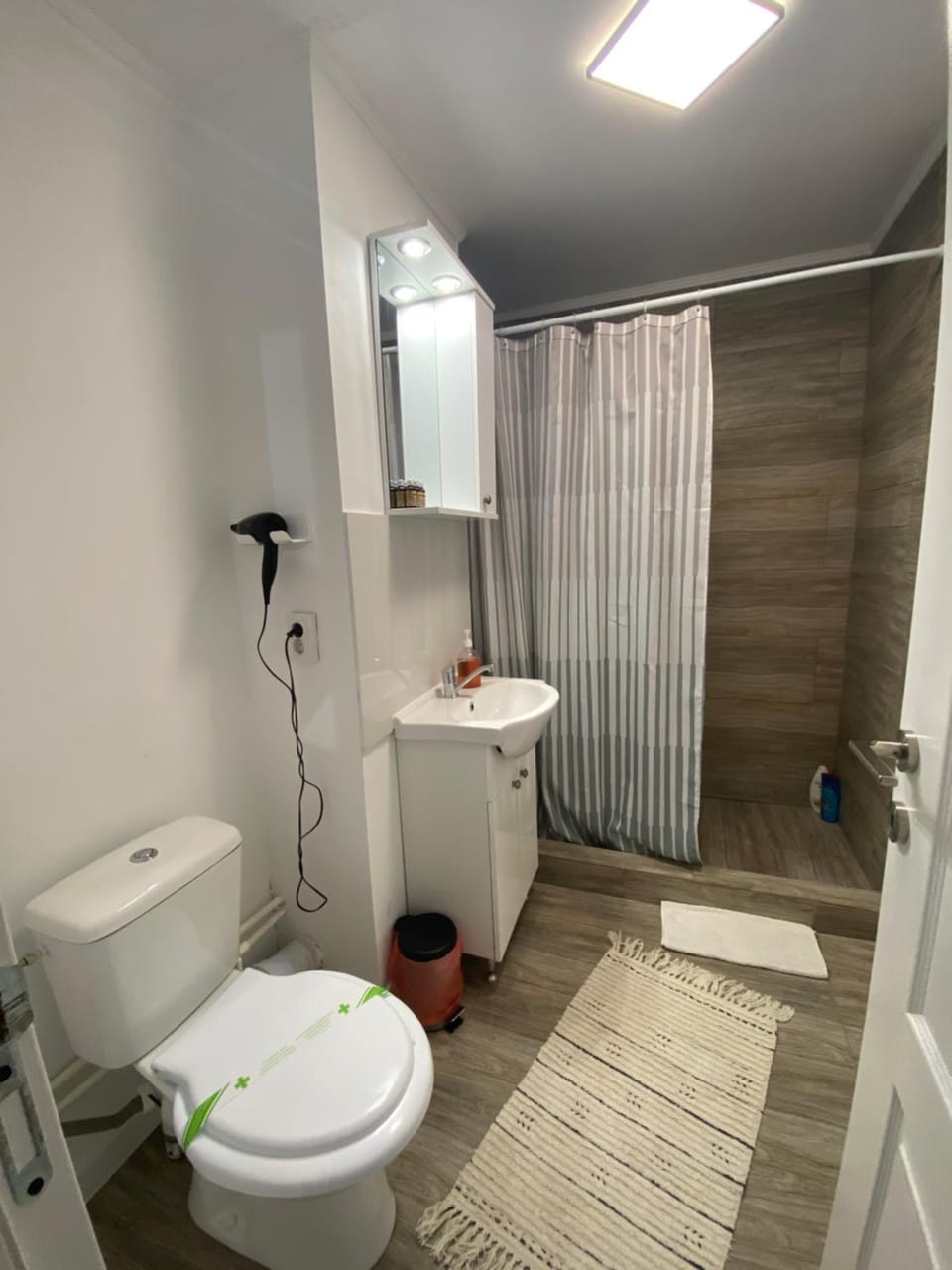 Shower, Toilet