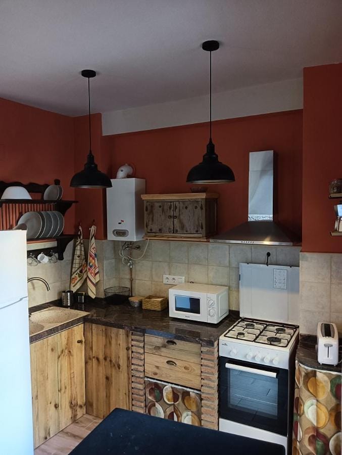 Kitchen or kitchenette, minibar, pet friendly, stove, toaster
