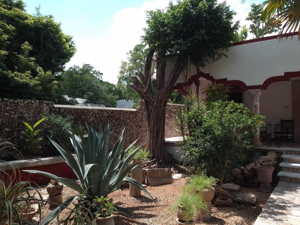 Garden view