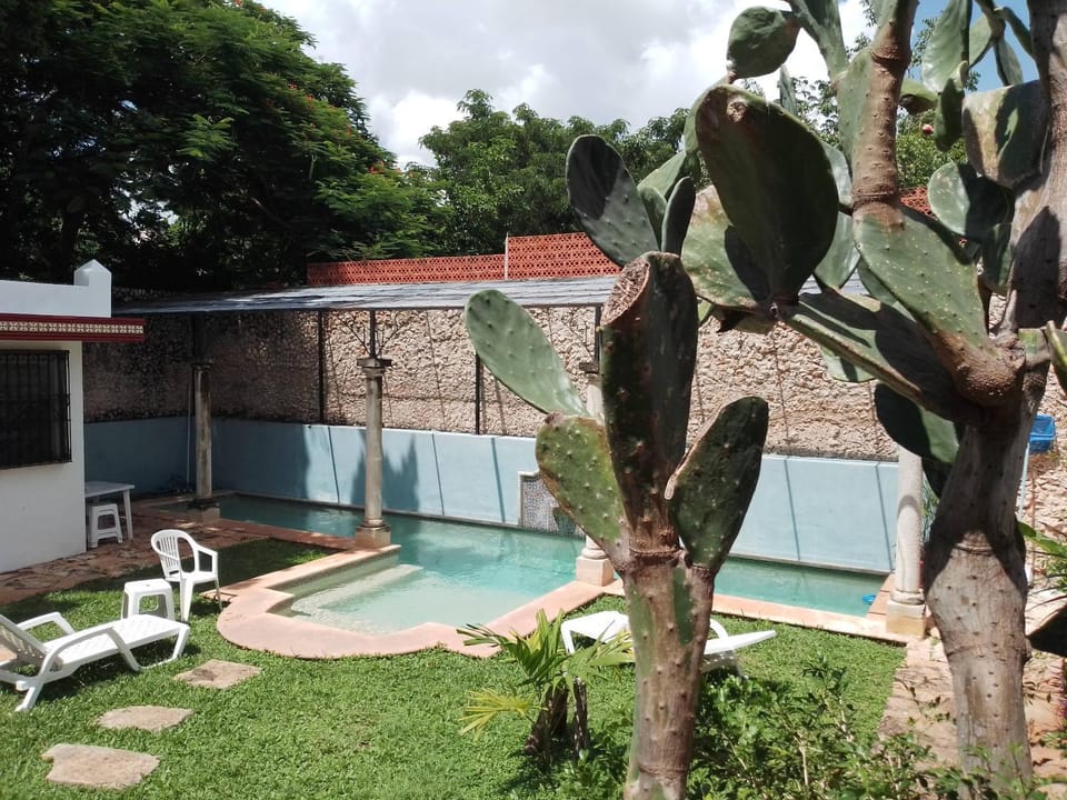 Garden view, Swimming pool