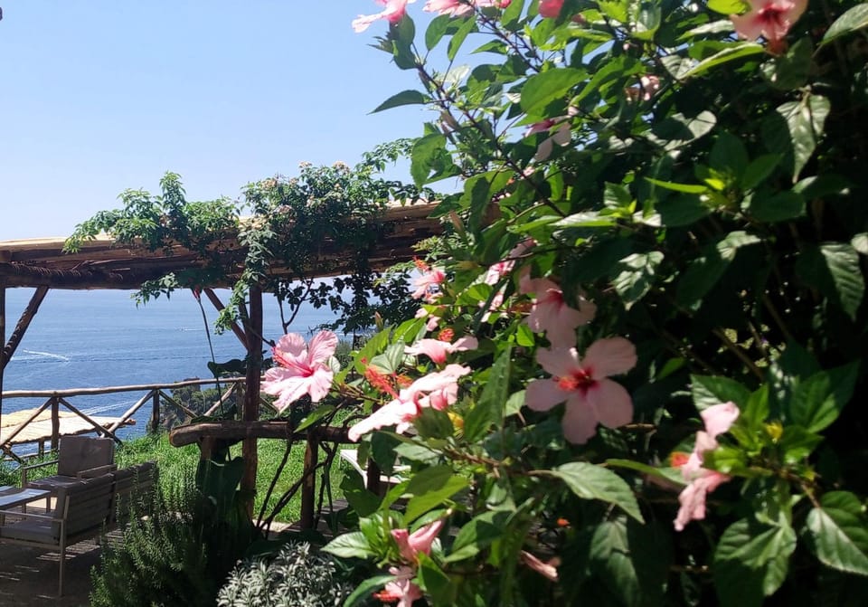 Sea Breeze House Apartment in Amalfi