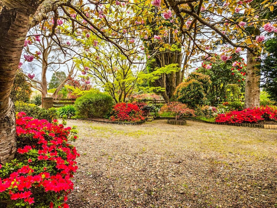 Garden, Garden view