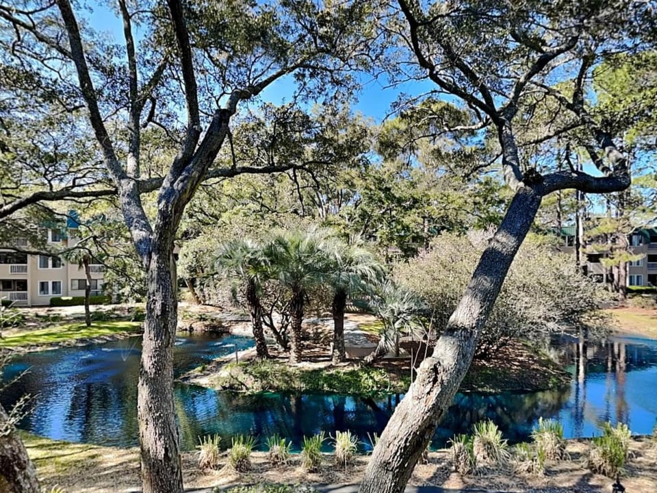 The Spa 1219 Apartment in Hilton Head Island