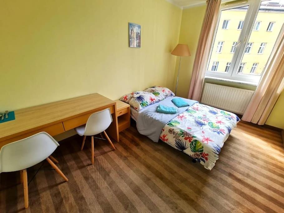 Bed, Photo of the whole room, towels