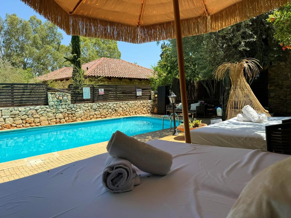 Garden view, Pool view, Swimming pool, sunbed, towels