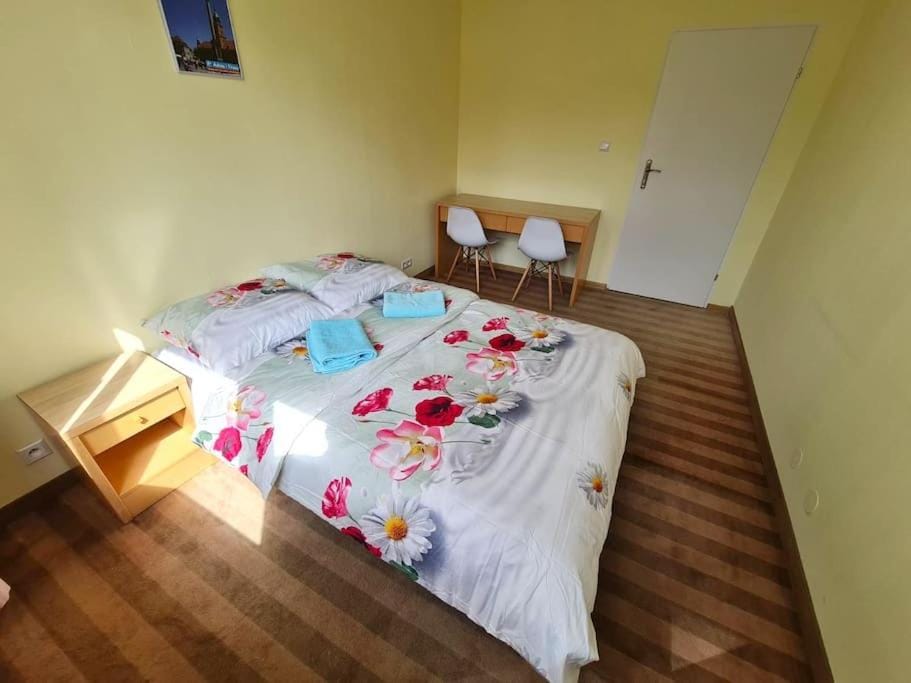 Bed, Photo of the whole room, towels