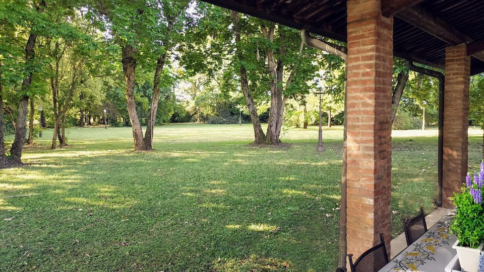 Patio, Garden, Garden view