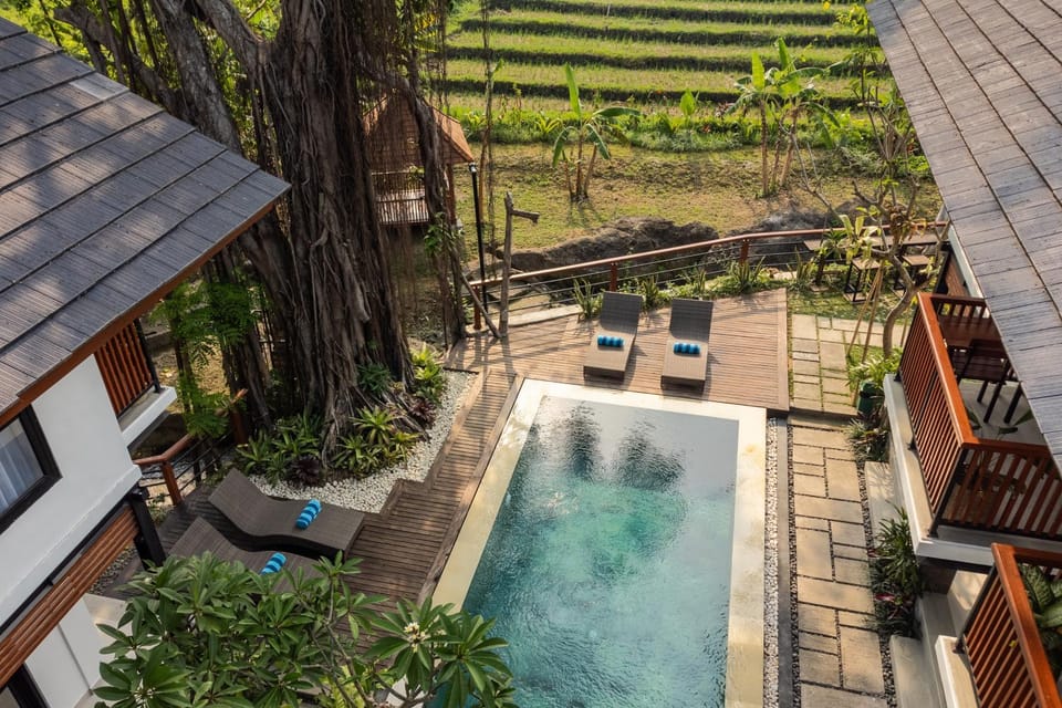Property building, Natural landscape, Garden, Pool view, Swimming pool, Swimming pool, sunbed