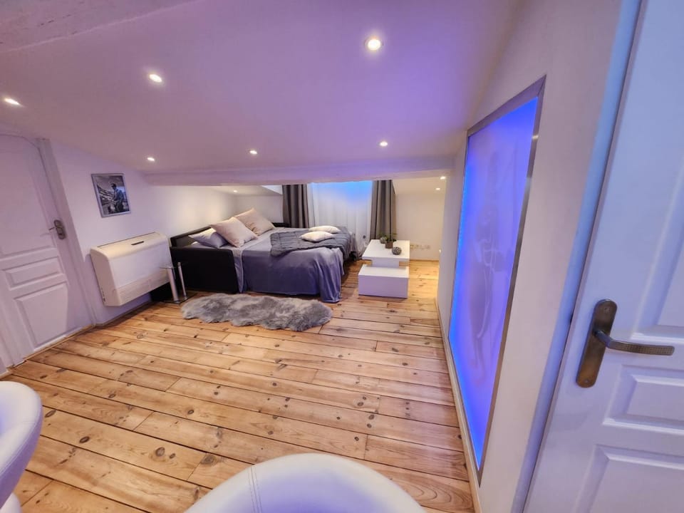 Le Croisette center Apartment in Cannes