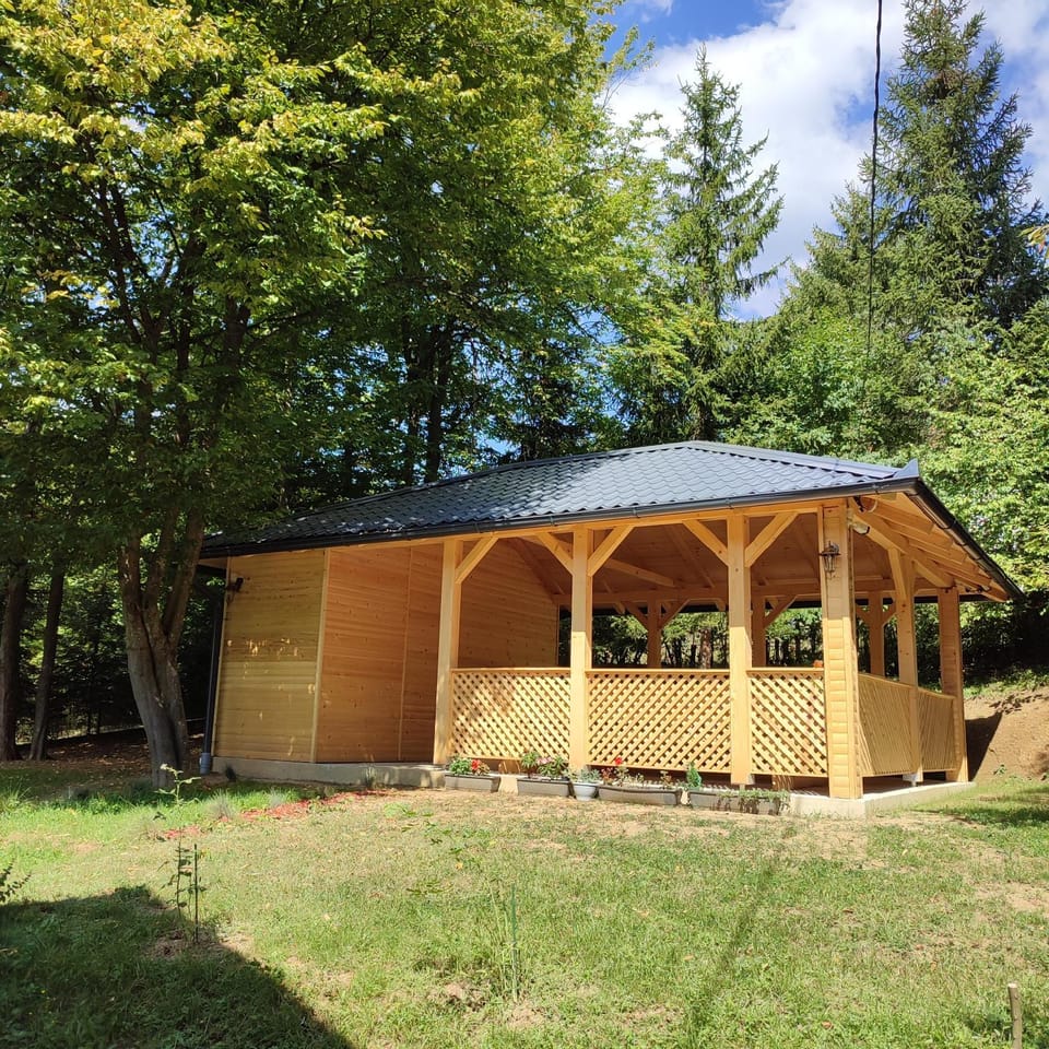 Property building, Day, Garden